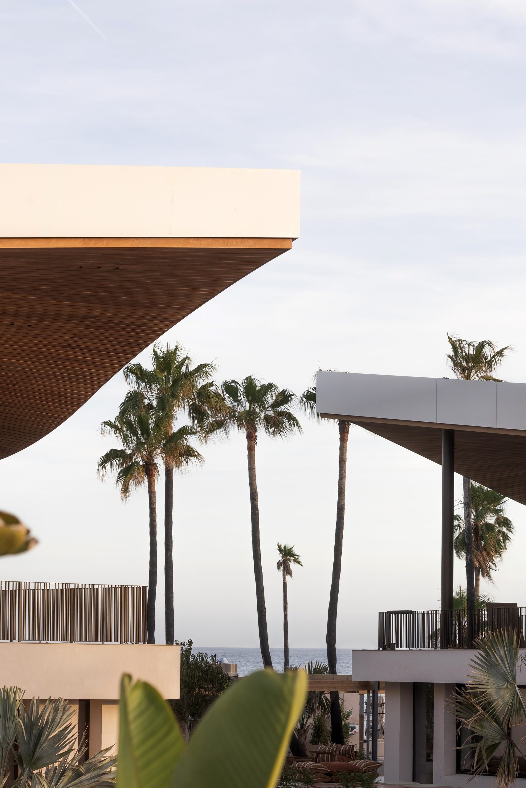 Aleros de madera y palmeras hacia el mar — Archidom Laguna, Costa del Sol. Fotografía de Pedro Jaén