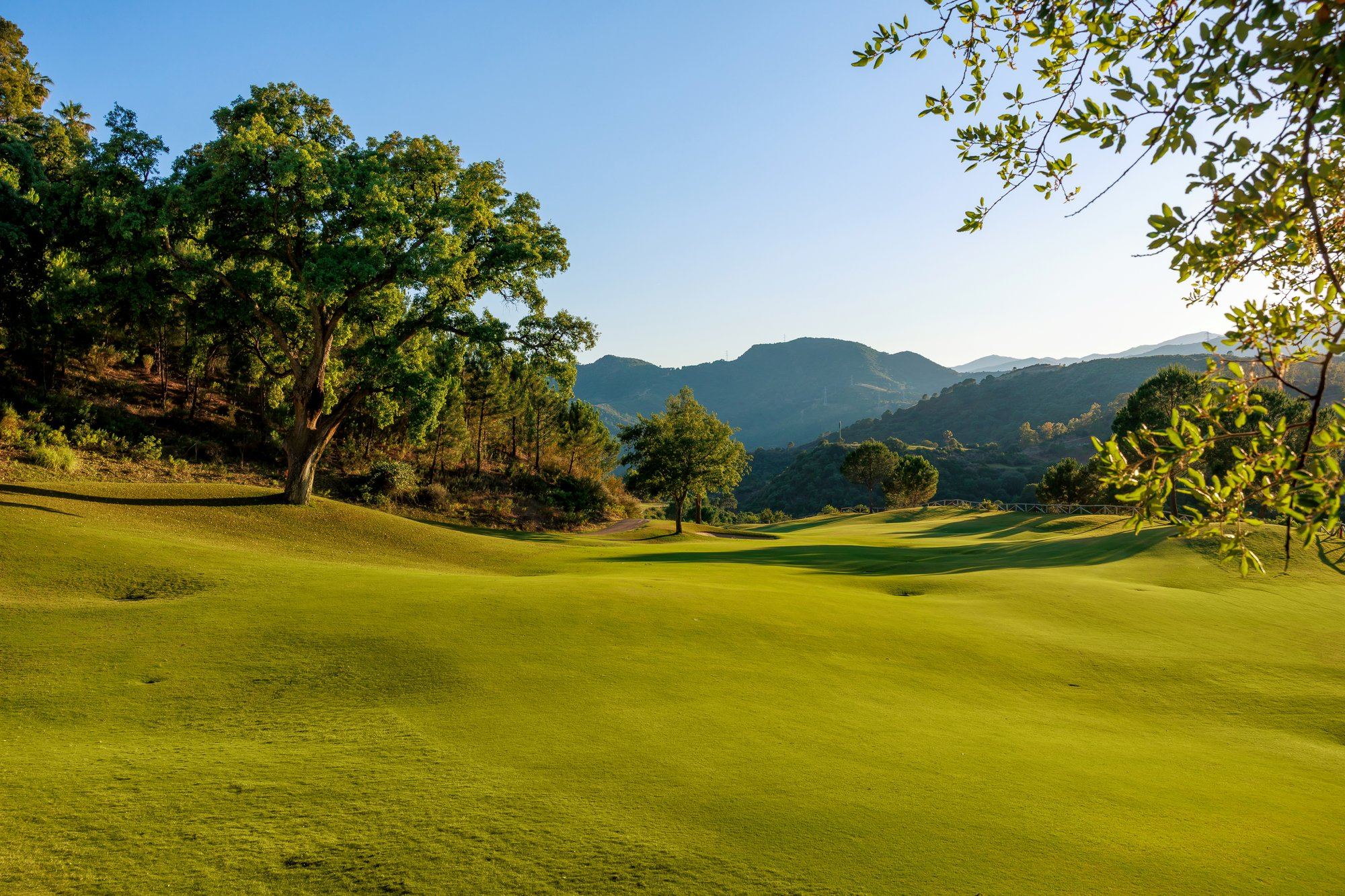 Calle ondulada entre encinas con la sierra al fondo — Golf La Zagaleta · New Course, La Zagaleta, Benahavís. Fotografía de Pedro Jaén