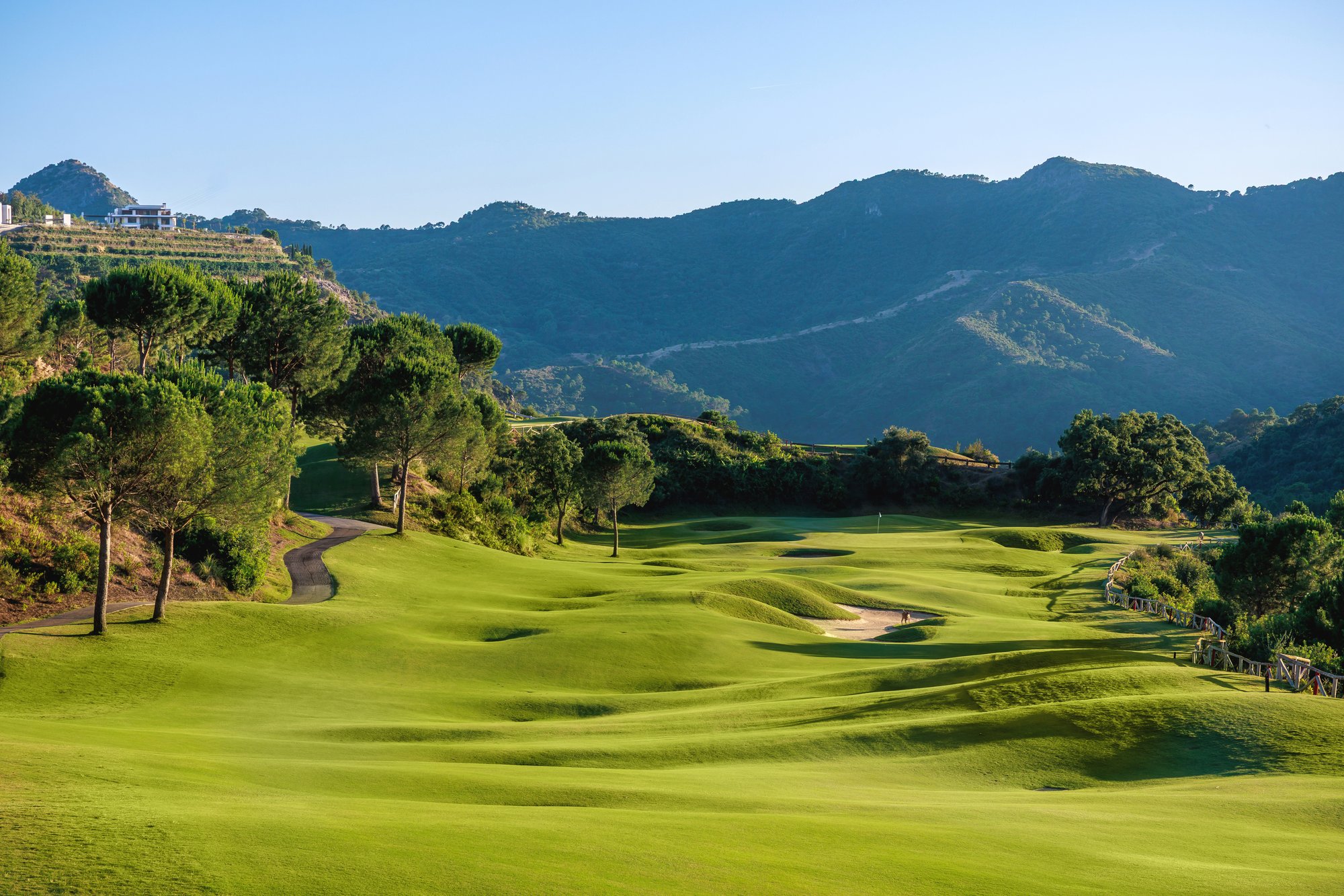Recorrido con búnkeres y pinos ante las montañas — Golf La Zagaleta · New Course, La Zagaleta, Benahavís. Fotografía de Pedro Jaén