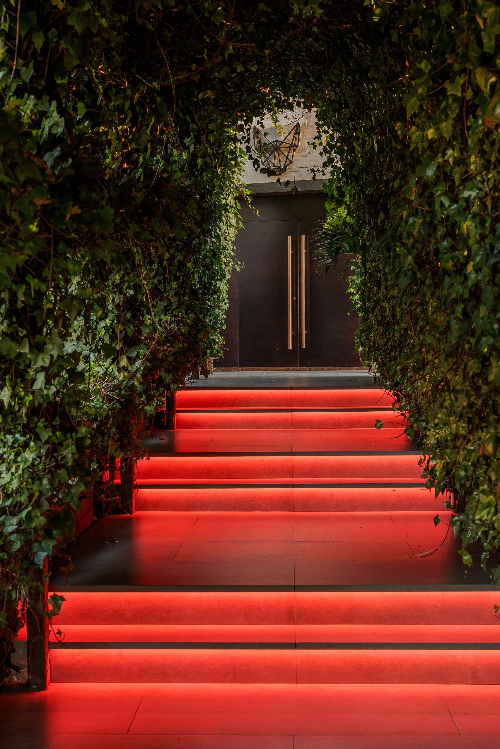 Escalera bajo un arco de hiedra — Mosh, Marbella. Fotografía de Pedro Jaén