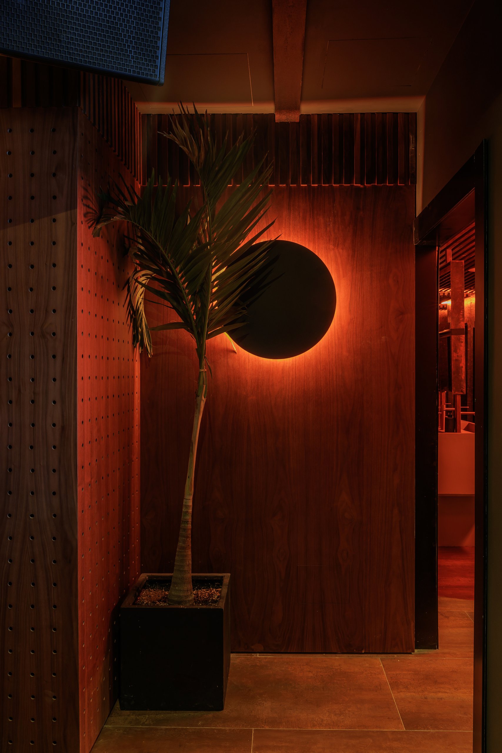 Pared de madera con disco retroiluminado y palmera — Mosh, Marbella. Fotografía de Pedro Jaén