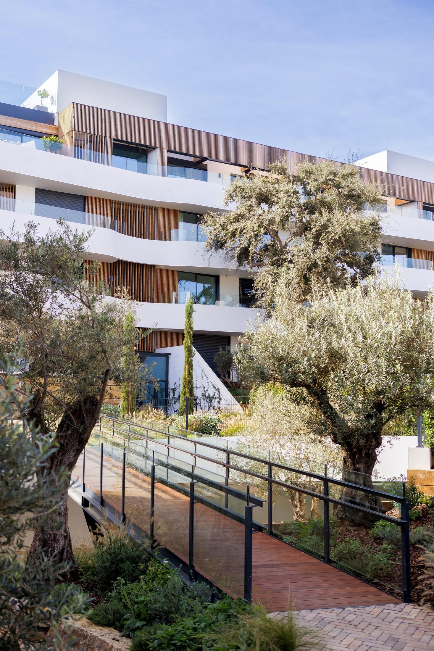 Fachada de terrazas entre olivos — Sotogrande Village Verde, Sotogrande, Cádiz. Fotografía de Pedro Jaén
